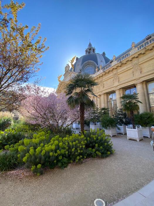 Qué ver en París -mejores lugares en el centro de la ciudad. Petit Palais